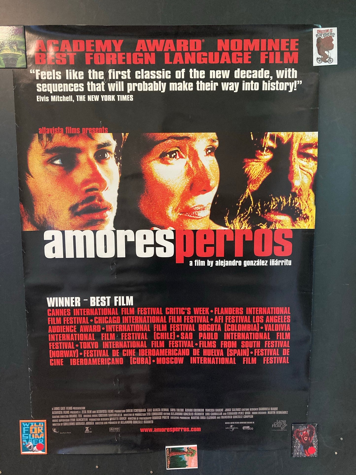 Amores Perros