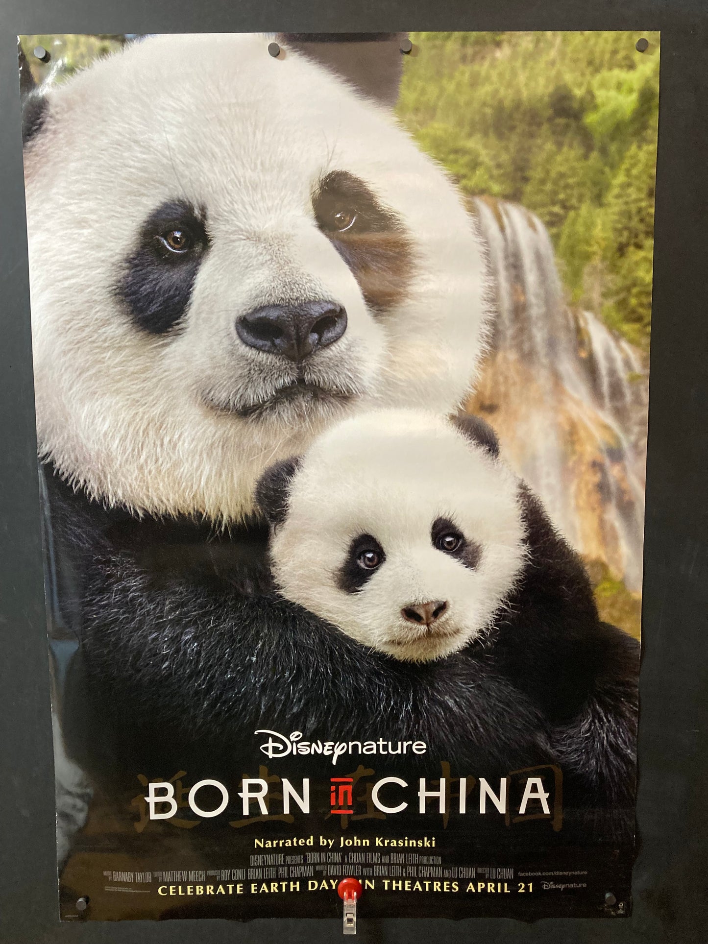 Born In China
