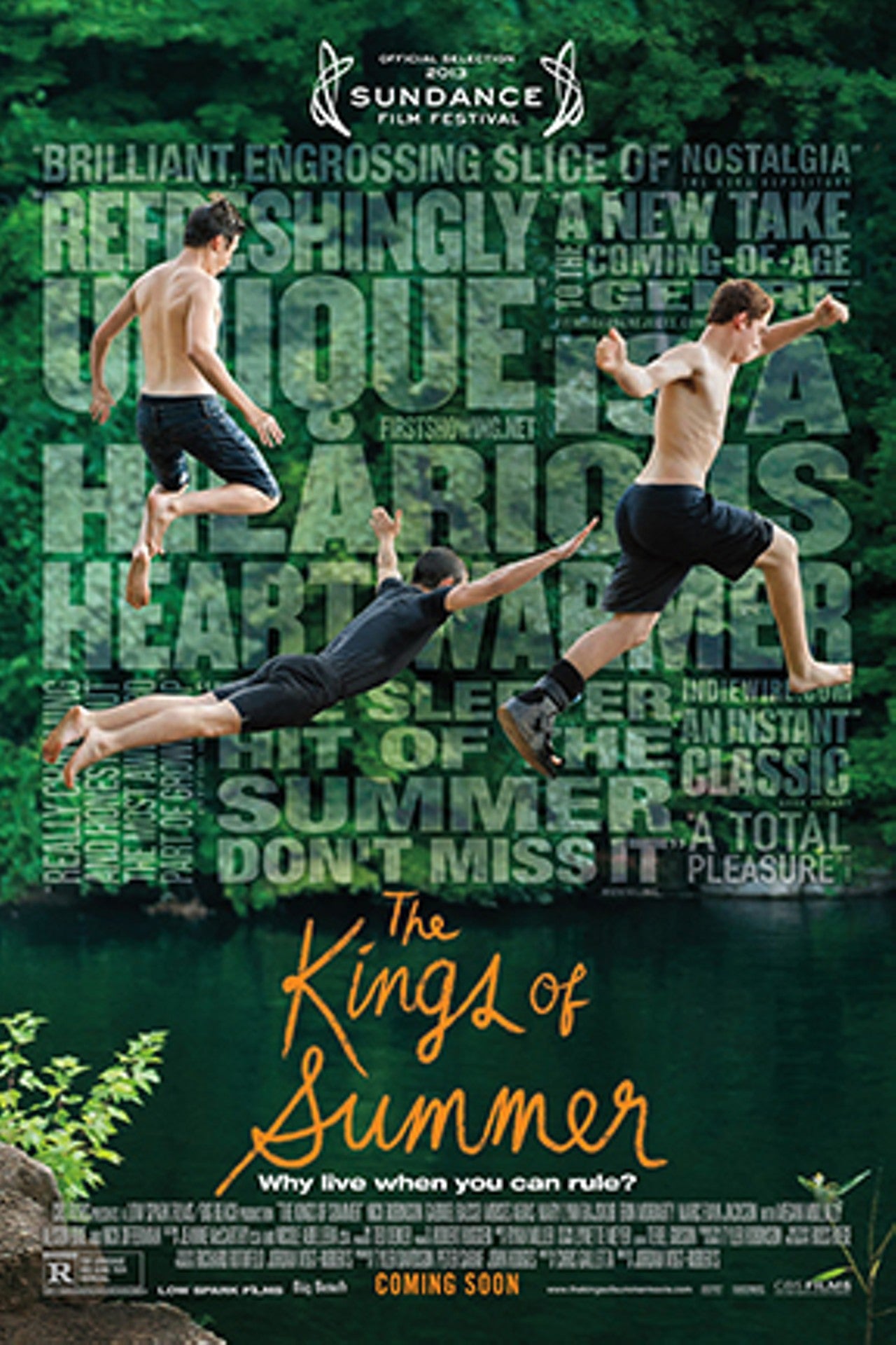 The Kings of Summer