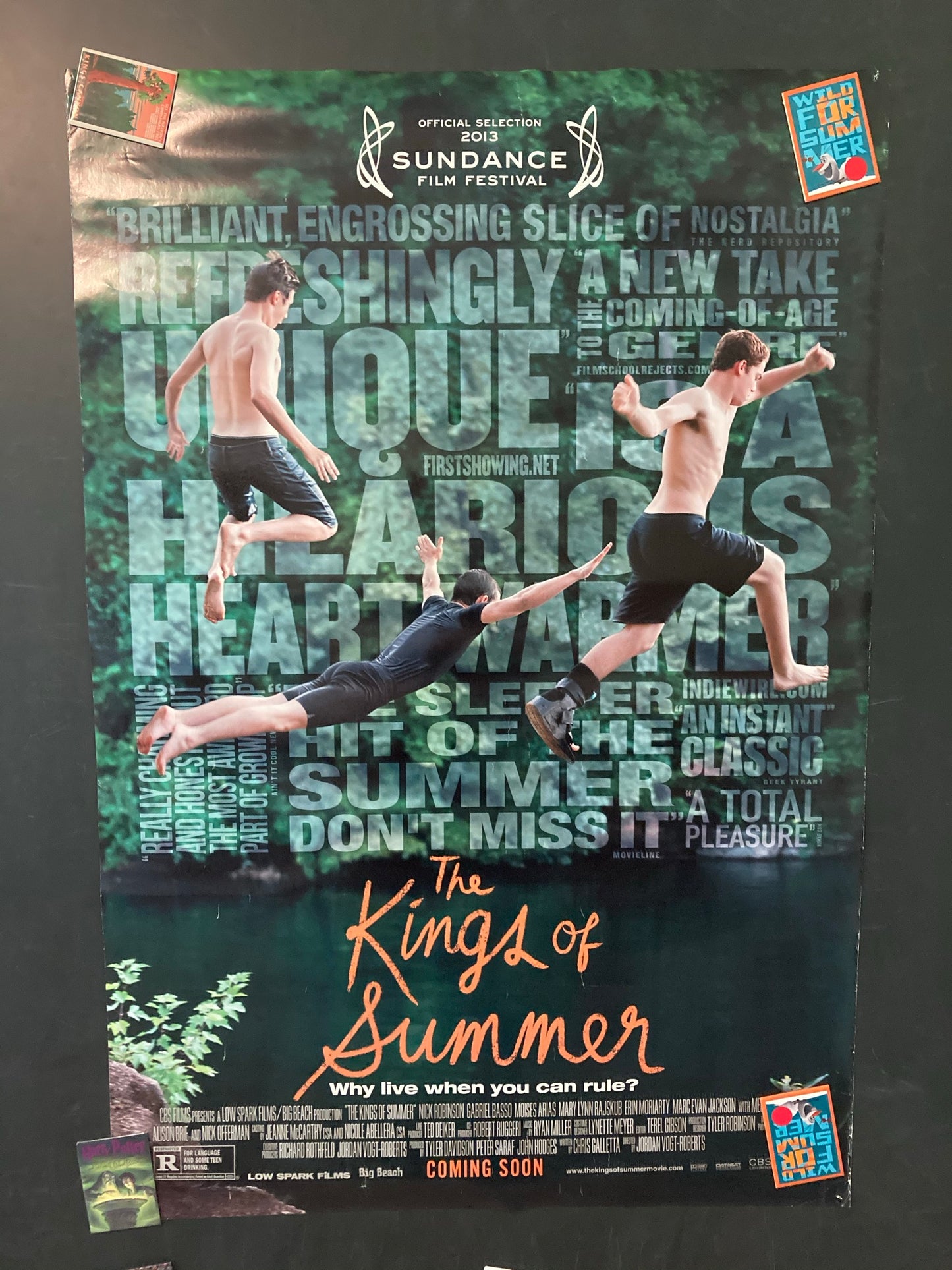 The Kings of Summer