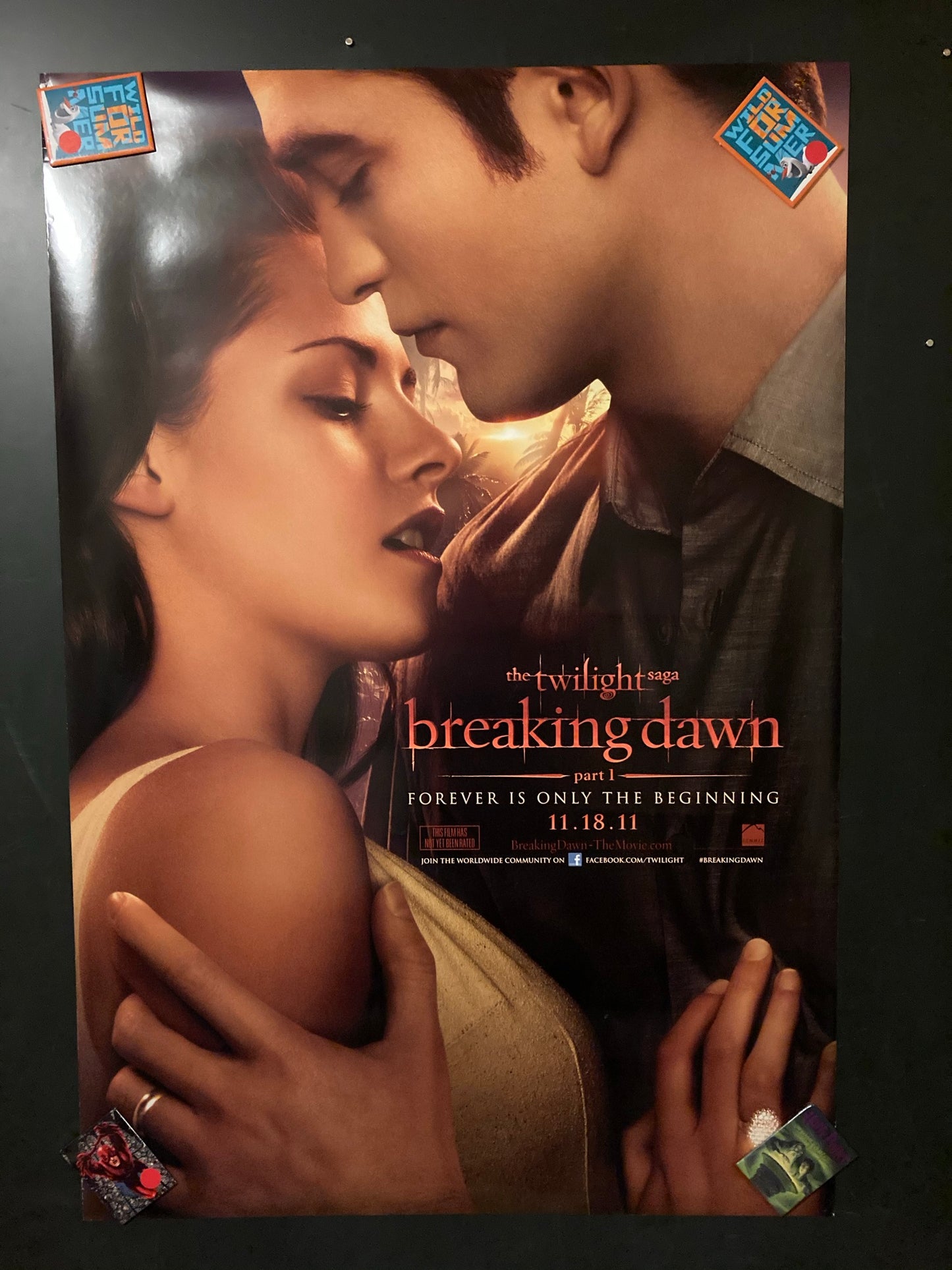 The Twilight Saga: Breaking Dawn - Part 1