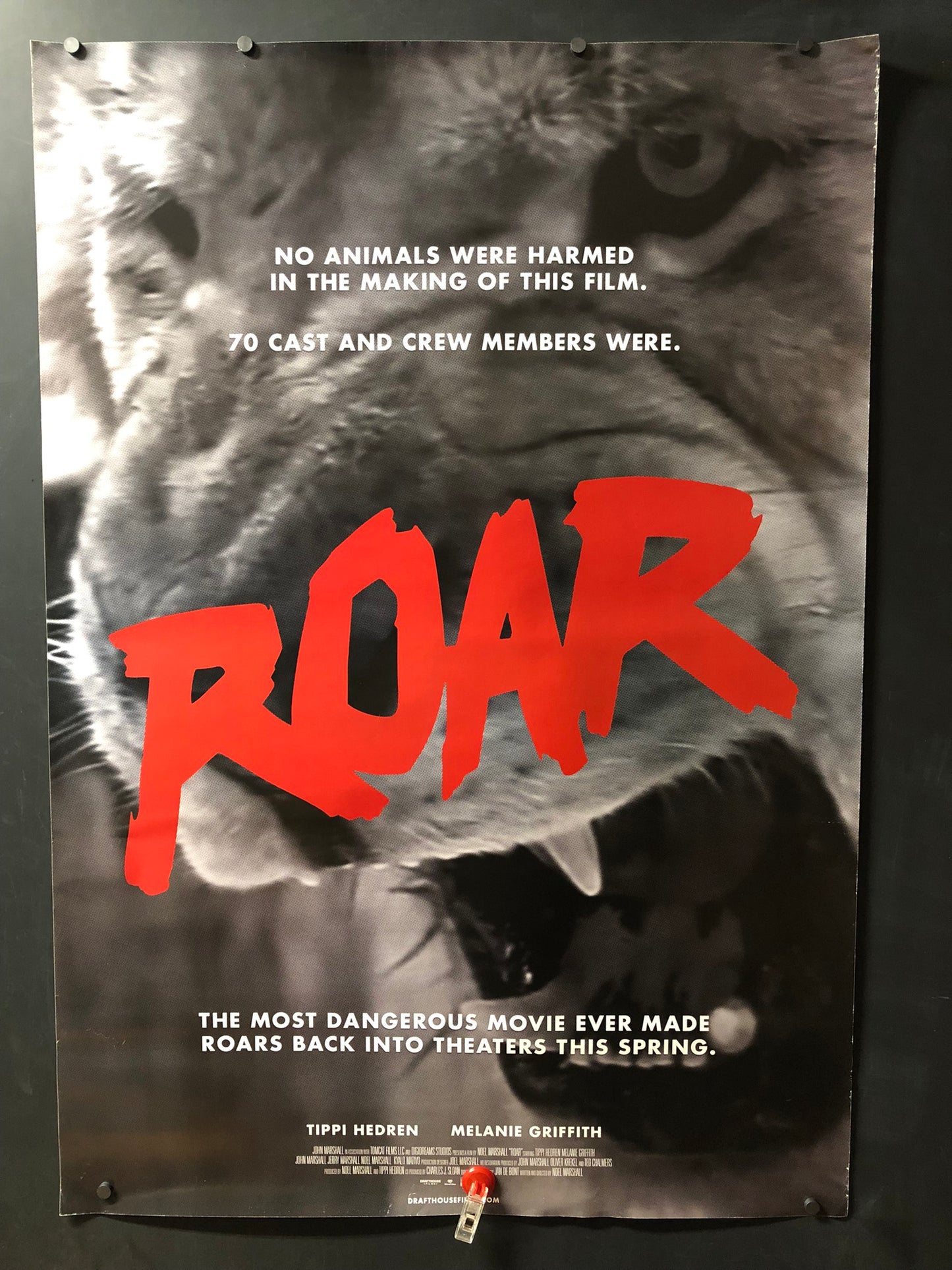 ROAR